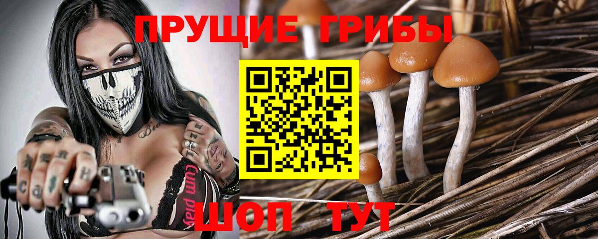 Псилоцибиновые грибы Psilocybine cubensis  Вход с VPN  Галлюциногенные грибы Cubensis  Алатырь 